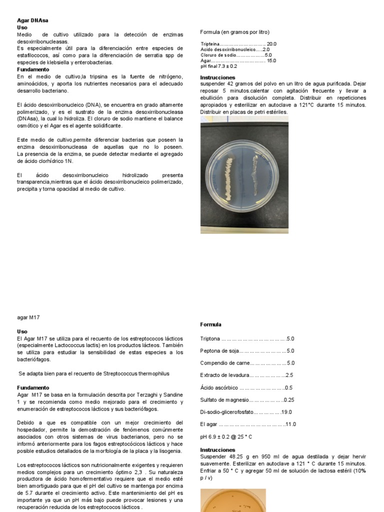 Agar DNAsa | PDF | Bacteriófago | Estreptococo