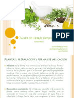 Taller de Hierbas Medicinales PDF