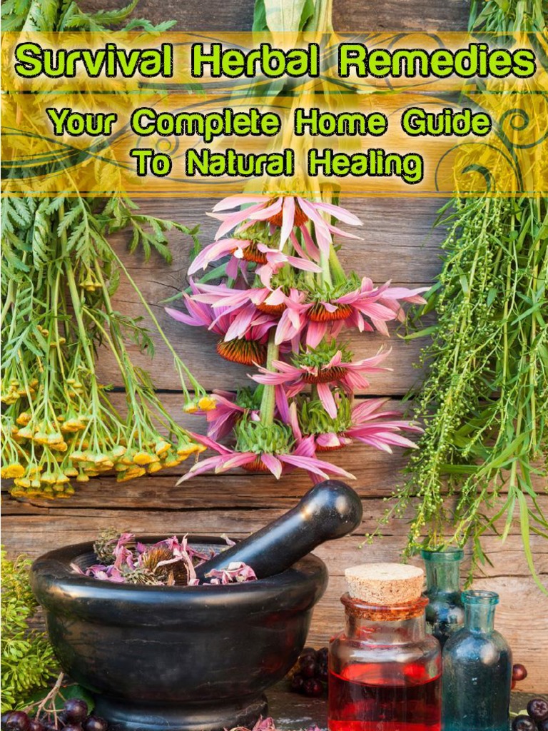 Survival Herbal Remedies PDF Aspirin Alternative Medicine
