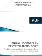 Seminário Interdisciplinar Vii