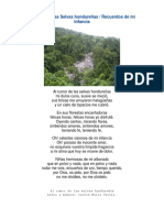 Al Rumor de Las Selvas Hondureñas