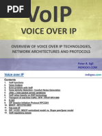 Voice Over IP (VoIP)