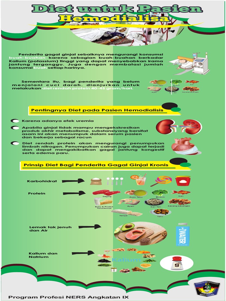 Diet Untuk Pasien Hemodialisa | PDF