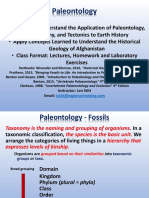 Stitt Paleontology 04 Introduction To Fossils 2