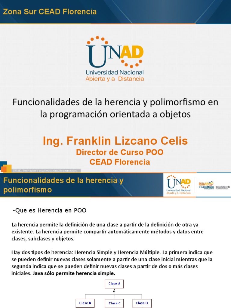 Herencia en POO | PDF | Herencia (Programación Orientada a Objetos ...