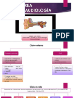 Asesoria Área Audición PDF