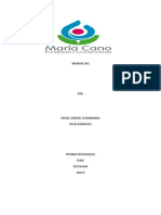 Informe CPQ PDF