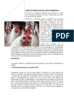 GuiaTecnicaGallinas.pdf