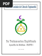 Os Tratamentos Espirituais (PARTE I) - Seara de Caridade do Caboclo Tupinambá (EUA).pdf