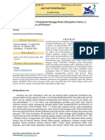 Jurnal Fehling PDF