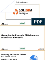 Geração de energia elétrica a partir de biomassa florestal no Brasil