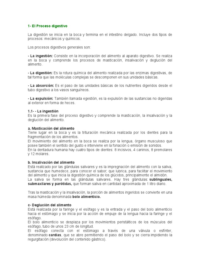 Proceso Digestivo Pdf Digestión Estómago