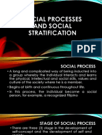 Social Processes and Social Stratification