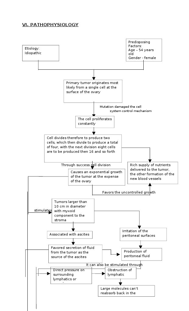 Ovarian Tumor Pathophysiology Overview | PDF | Ovarian Cancer | Neoplasms