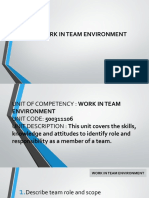 Work in Team Environment