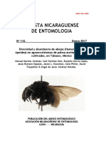 Diversidad y Abundancia de Abejas Hymeno PDF