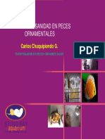 D493.pdf