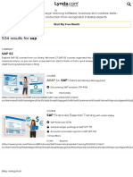 sap - Lynda.pdf