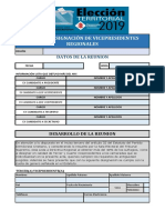 Acta de Designacion de Vicepresidentes Regionales