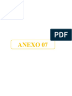 Anexo 7-c