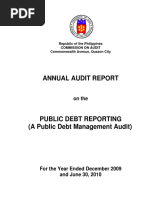 2010 Public Debt Reporting