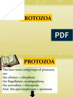 3 Protozoa