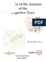 Anatomyofthe Annexesofthe Digestive Tract