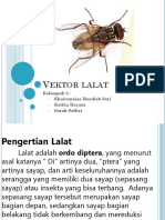 Vektor Lalat