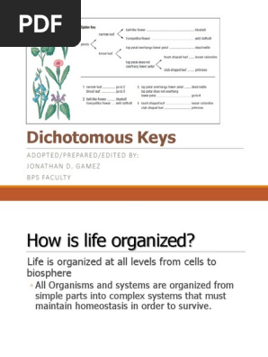 00-Dichotomous Key 2016