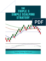 Triple S Strategy