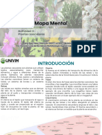 Mapa Mental Plantas Vasculares