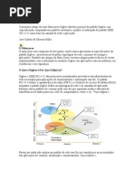 Mini_Curso Zig Bee