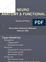 2 Neuro anatomy functional