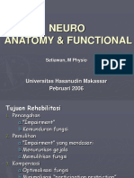 2 Neuro Anatomy Functional