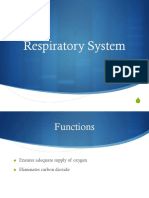 Lecture-Chapter-07-Respiratory-System