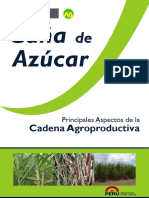 agroeconomia_canaazucar.pdf