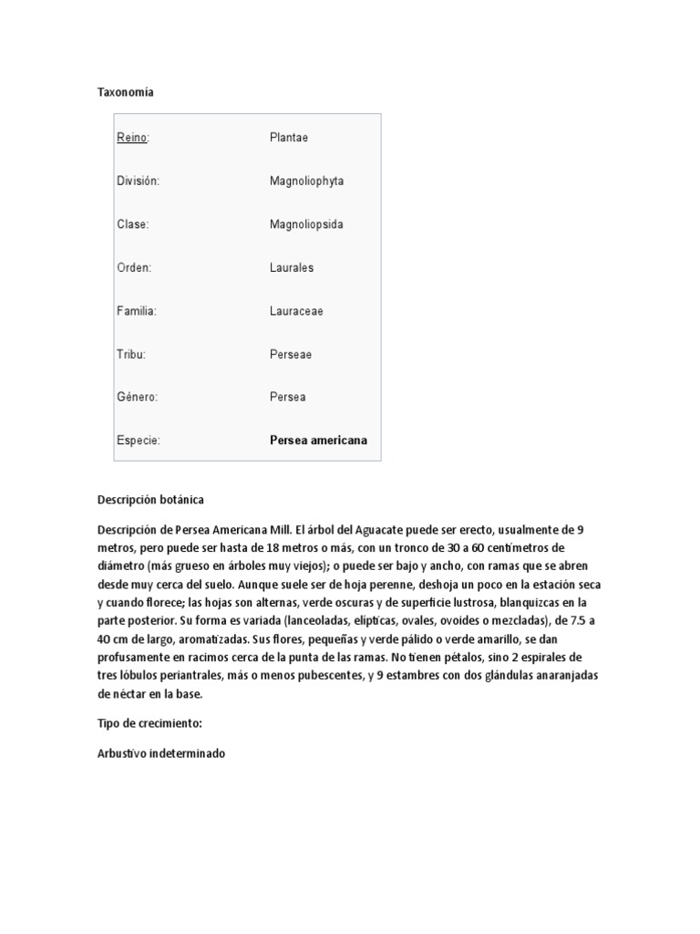 Aguacate Taxonomia y Formalogia PDF Plantas Organismos