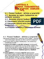 Cap08 ProceseFeedbackFundamentaleInSistemeleAdaptiveComplexe