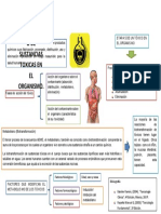 DISTRIBUCION Y METABOLISMO DE SUSTANCIAS TOXICAS EN EL ORGANISMO.