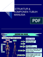 Sistem Tubuh Manusia