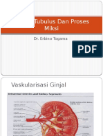 Fungsi Tubulus Dan Proses Miksi