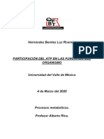 FUNCIÓN ATP EN EL ORGANISMO.pdf