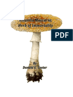 Donald_E_Teeter_-_Amanita_Muscaria_Herb_of_Immortality-www.AmbrosiaSociety.org.pdf