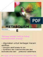 Metabolisme