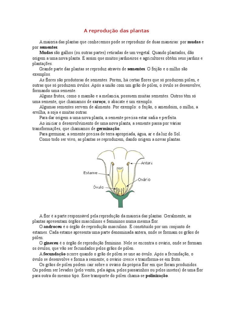A Reprodução Das Plantas | PDF | Semente | Flores