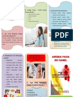 Leaflet Anemia 2