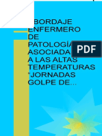 Abordaje Enfermero de Patologias Asociadas A Las Altas Temperaturas (Jornadas Golpe de Calor) PDF