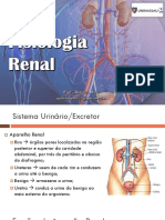 Aula 9 - Fisiologia Renal