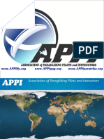 APPI Presentation.v1.1 PDF
