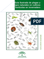Guia ilustrada de plagas y nemigos naturales en los cultivos.pdf